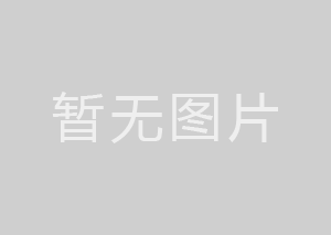加快落實(shí)就業(yè)政策 全力做好穩(wěn)就業(yè)工作
